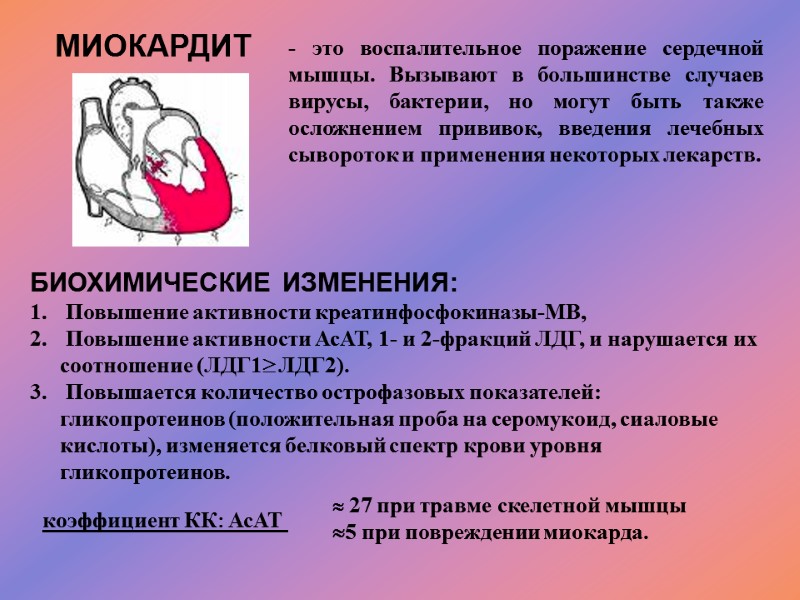 МИОКАРДИТ - это воспалительное поражение сердечной мышцы. Вызывают в большинстве случаев вирусы, бактерии, но